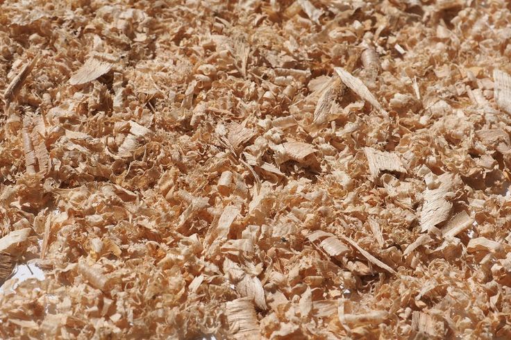 Wood Sawdust & Offcuts